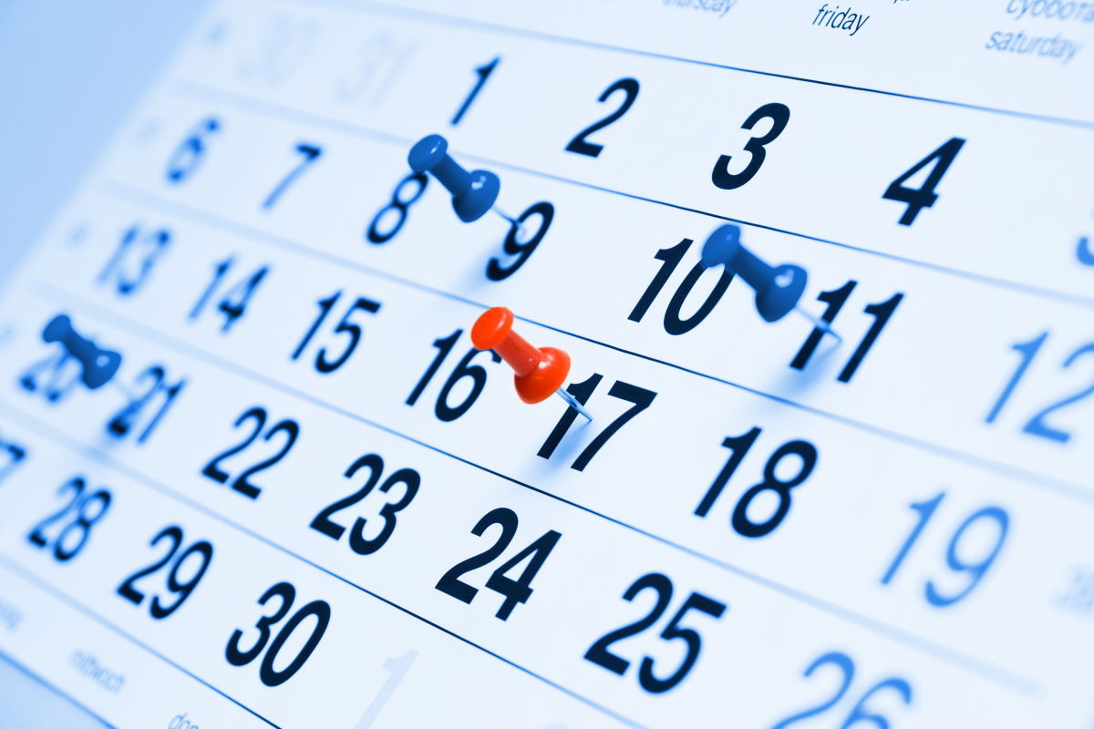 Calendar with marked appointments